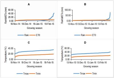 Assessment of the effects of NPK fertilizer on edible yield and agro-biological parameters in a cowpea–amaranth intercrop